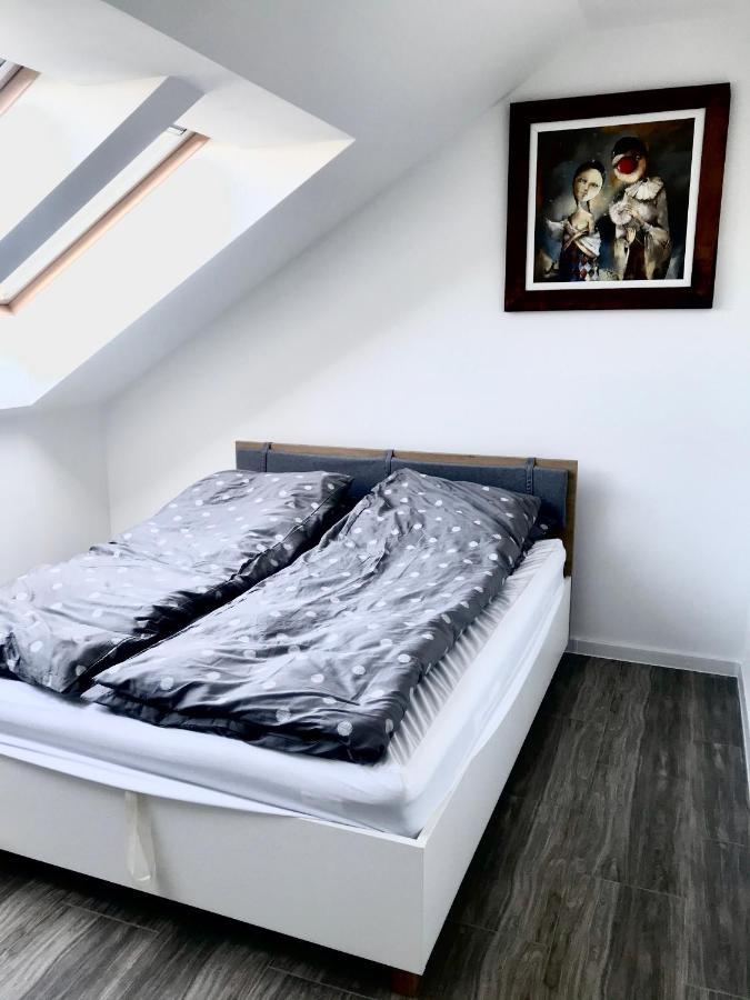 Apartament Julia スキェルニェヴィツェ エクステリア 写真